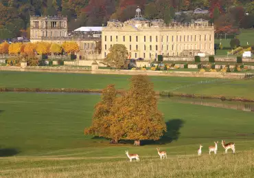 Chatsworth House