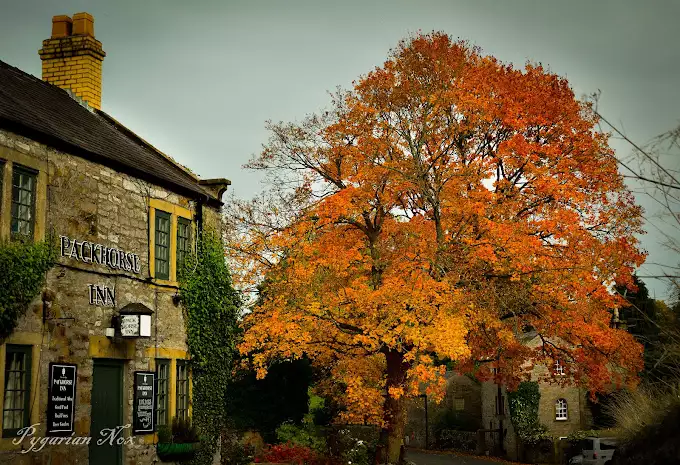 The Packhorse Inn, Little Longstone